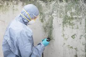 Best Mold Removal for HVAC Installations  in Wanaque, NJ